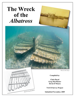 The Wreck of the Albatross
