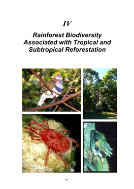 Reforestation in the Tropics and Subtropics of Australia Using Rainforest Tree Species