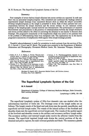 M. H. RATZLAFF: the Superficial Lymphatic System of the Cat 151