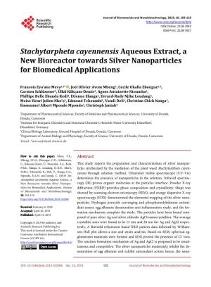 Stachytarpheta Cayennensis Aqueous Extract, a New Bioreactor Towards Silver Nanoparticles for Biomedical Applications