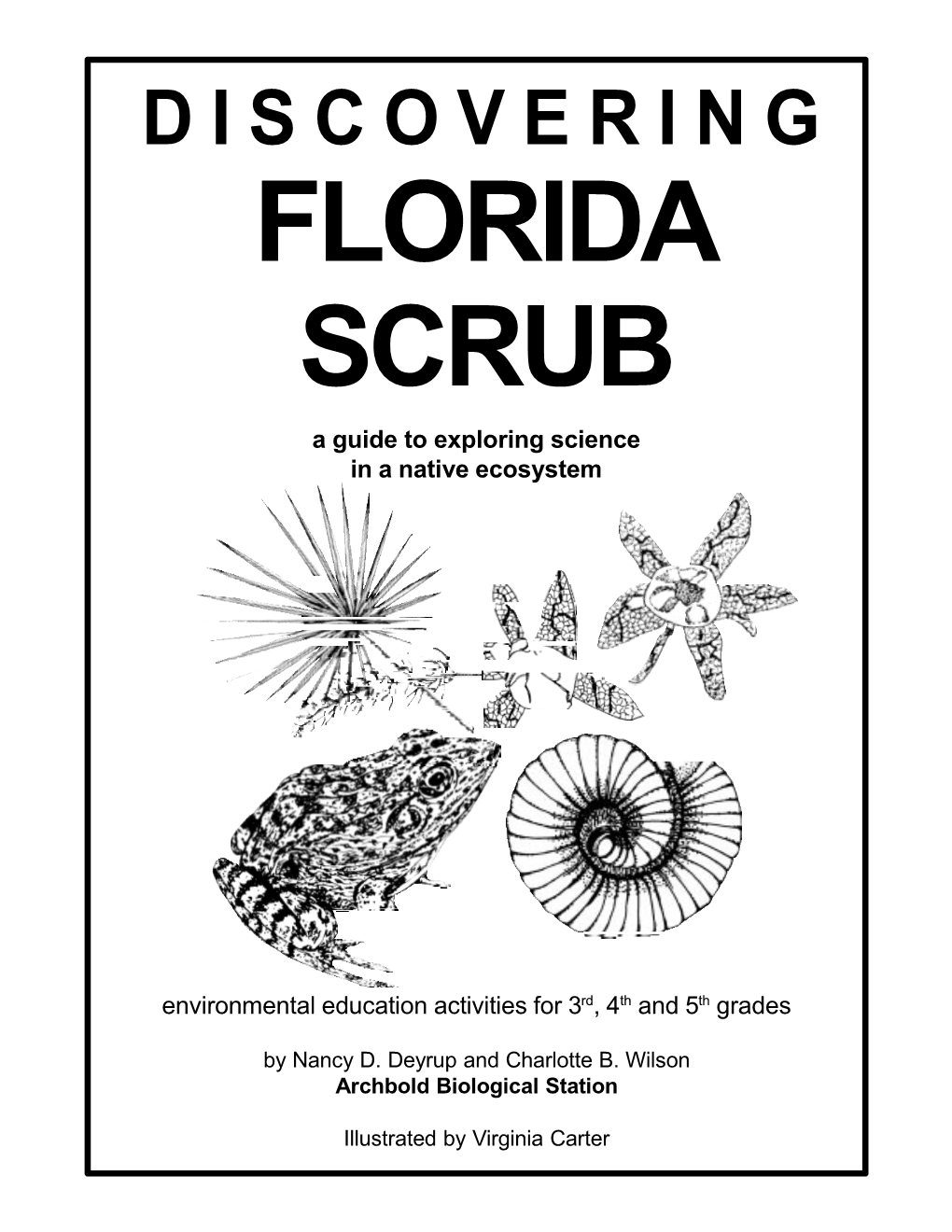 D I S C O V E R I N G Florida Scrub