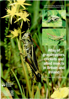 Orthoptera — Grasshoppers and Crickets