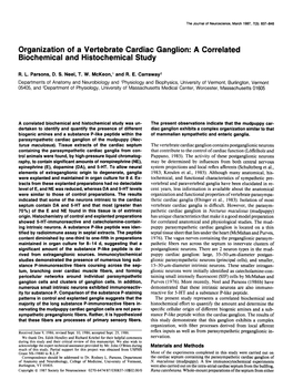 Organization of a Vertebrate Cardiac Ganglion: a Correlated Biochemical and Histochemical Study