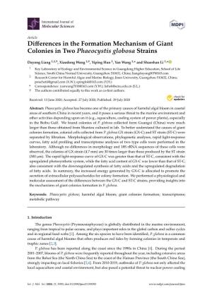 Differences in the Formation Mechanism of Giant Colonies in Two Phaeocystis Globosa Strains