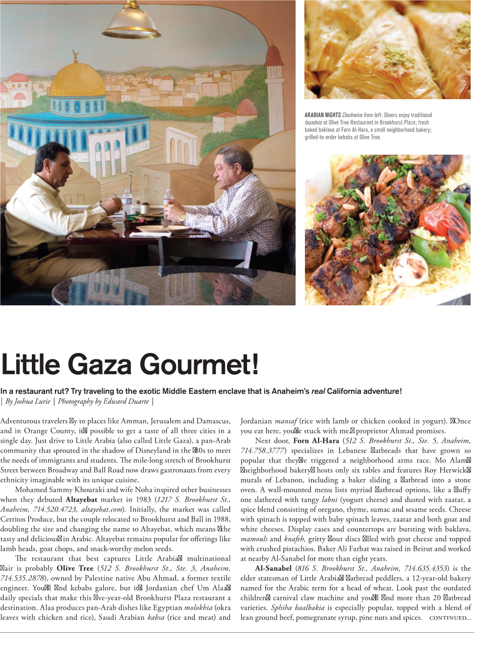Little Gaza Gourmet!