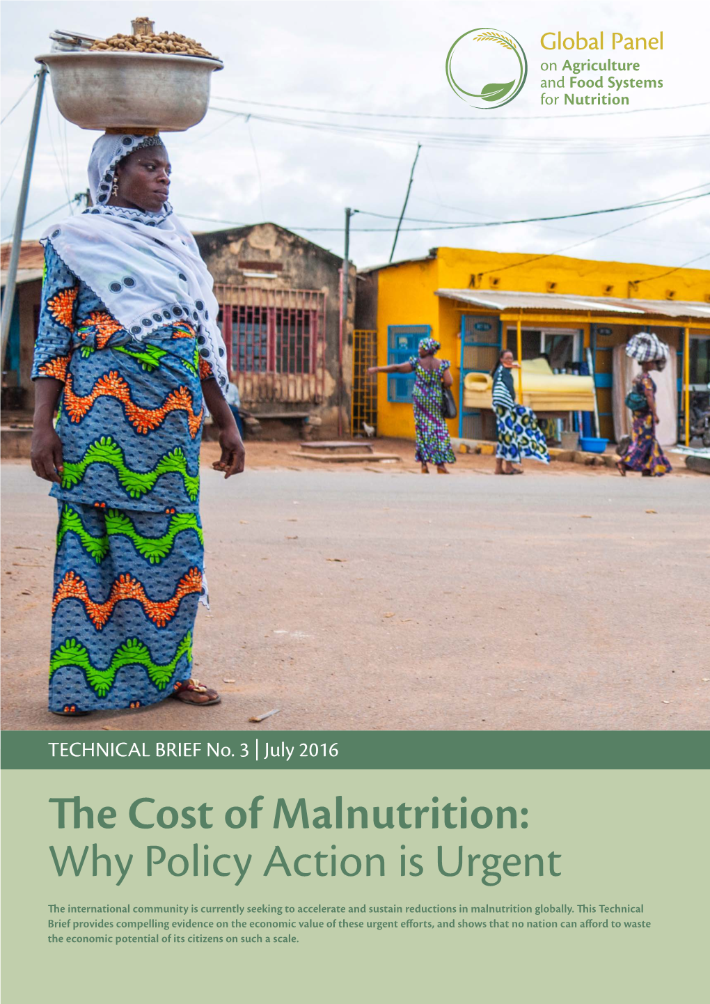 The Cost of Malnutrition: Why Policy Action Is Urgent