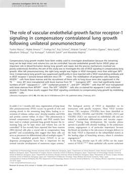 The Role of Vascular Endothelial Growth Factor Receptor-1 Signaling In