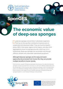 The Economic Value of Deep-Sea Sponges