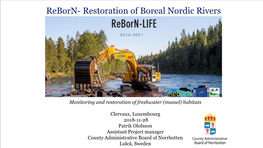 Restoration of Boreal Nordic Rivers