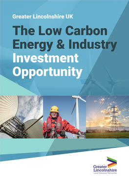 The Low Carbon Energy & Industry Investment Opportunity