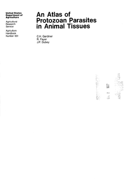 An Atlas of Protozoan Parasites in Animal Tissues