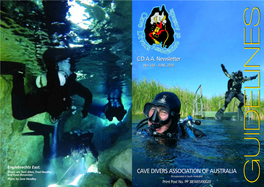 CDAA Newsletter