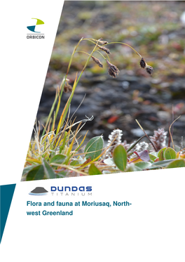Flora and Fauna at Moriusaq, North- West Greenland