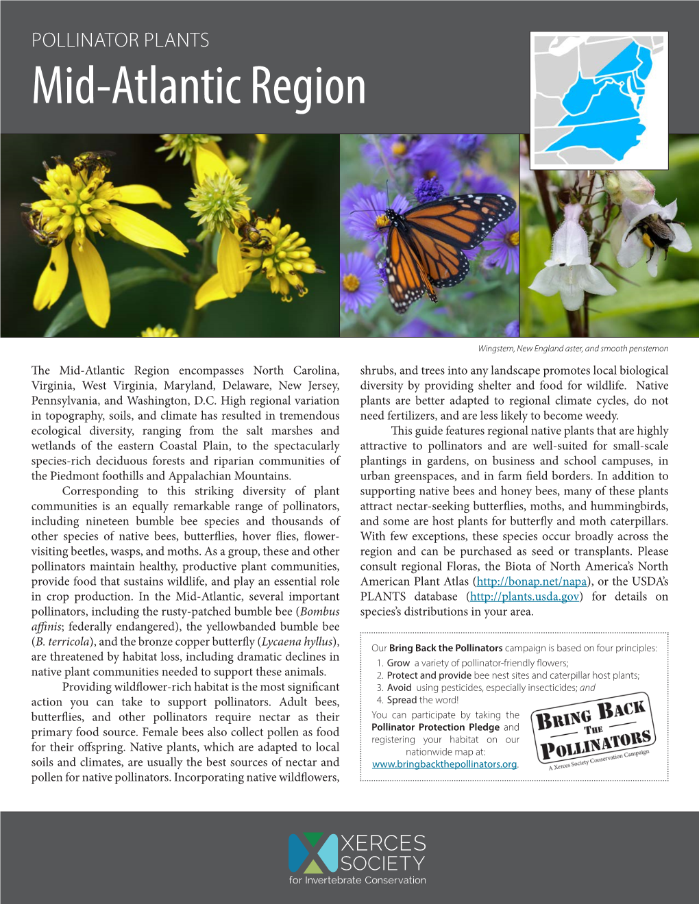 Pollinator Plants: Mid-Atlantic Region