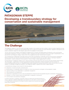PATAGONIAN STEPPE Developing a Transboundary Strategy for Conservation and Sustainable Management the Challenge
