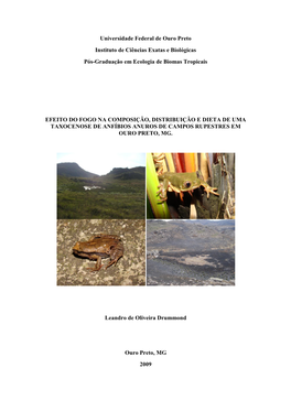 Universidade Federal De Ouro Preto Instituto De Ciências Exatas E Biológicas Pós-Graduação Em Ecologia De Biomas Tropicais