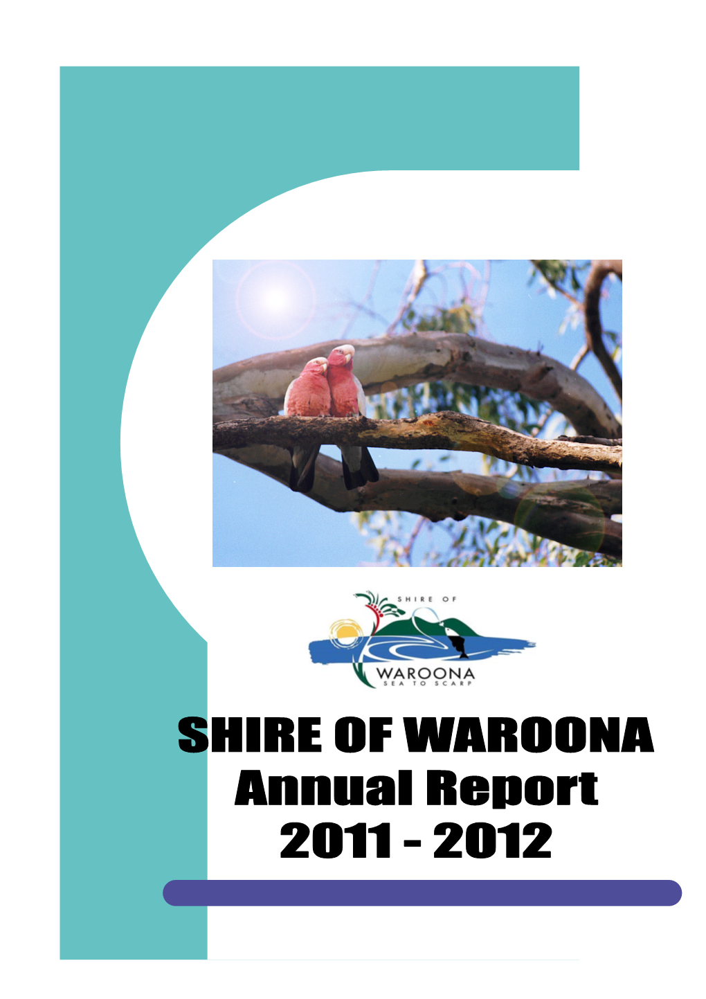 2011/12 Annual Report & Financial Statements