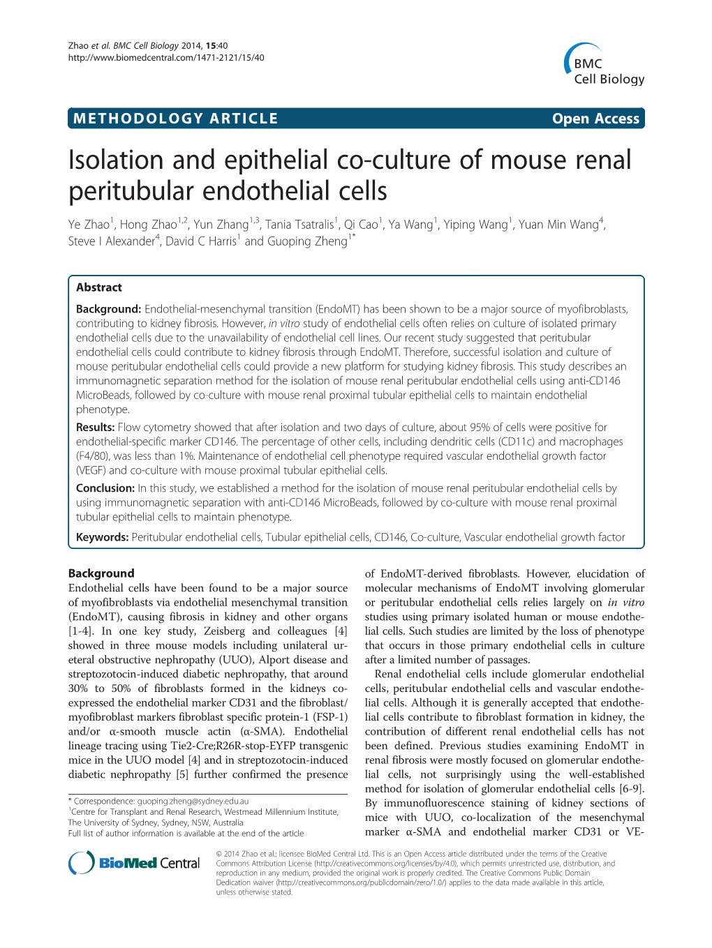 Isolation and Epithelial Co-Culture of Mouse Renal Peritubular Endothelial