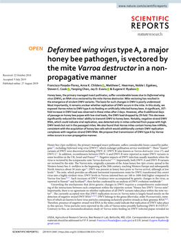 Deformed Wing Virus Type A, a Major Honey Bee Pathogen, Is Vectored By