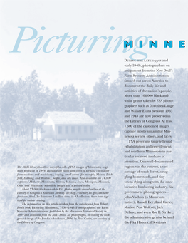 Picturing Minnesota's Cutover