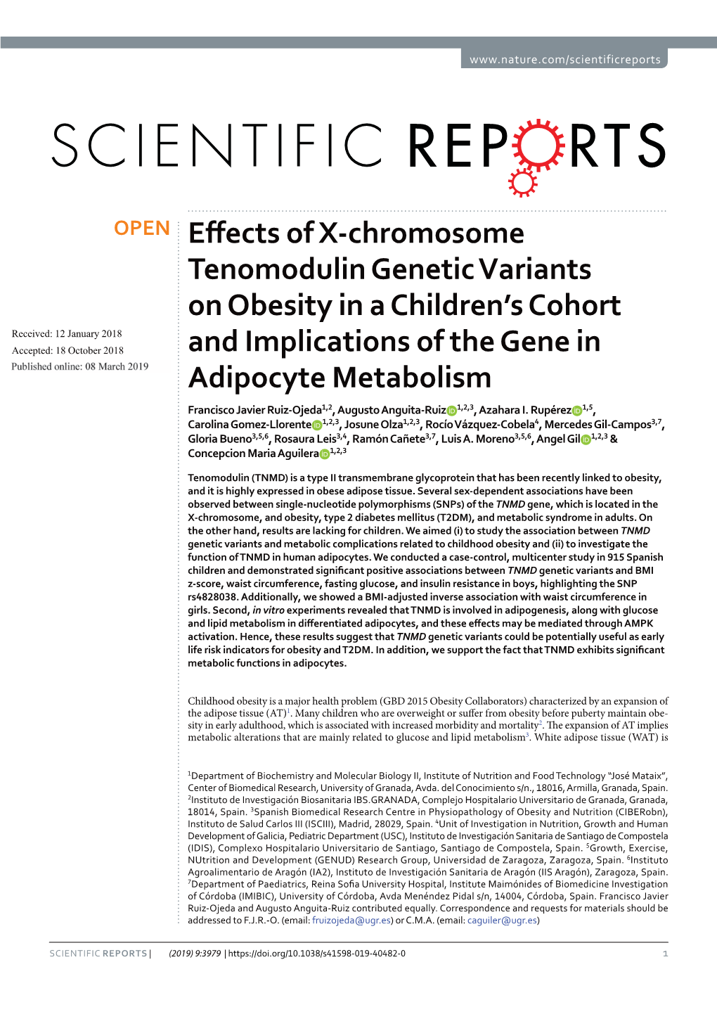 Effects of X-Chromosome Tenomodulin Genetic Variants On