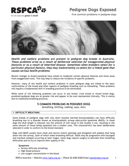 Pedigree Dogs Exposed Five Common Problems in Pedigree Dogs
