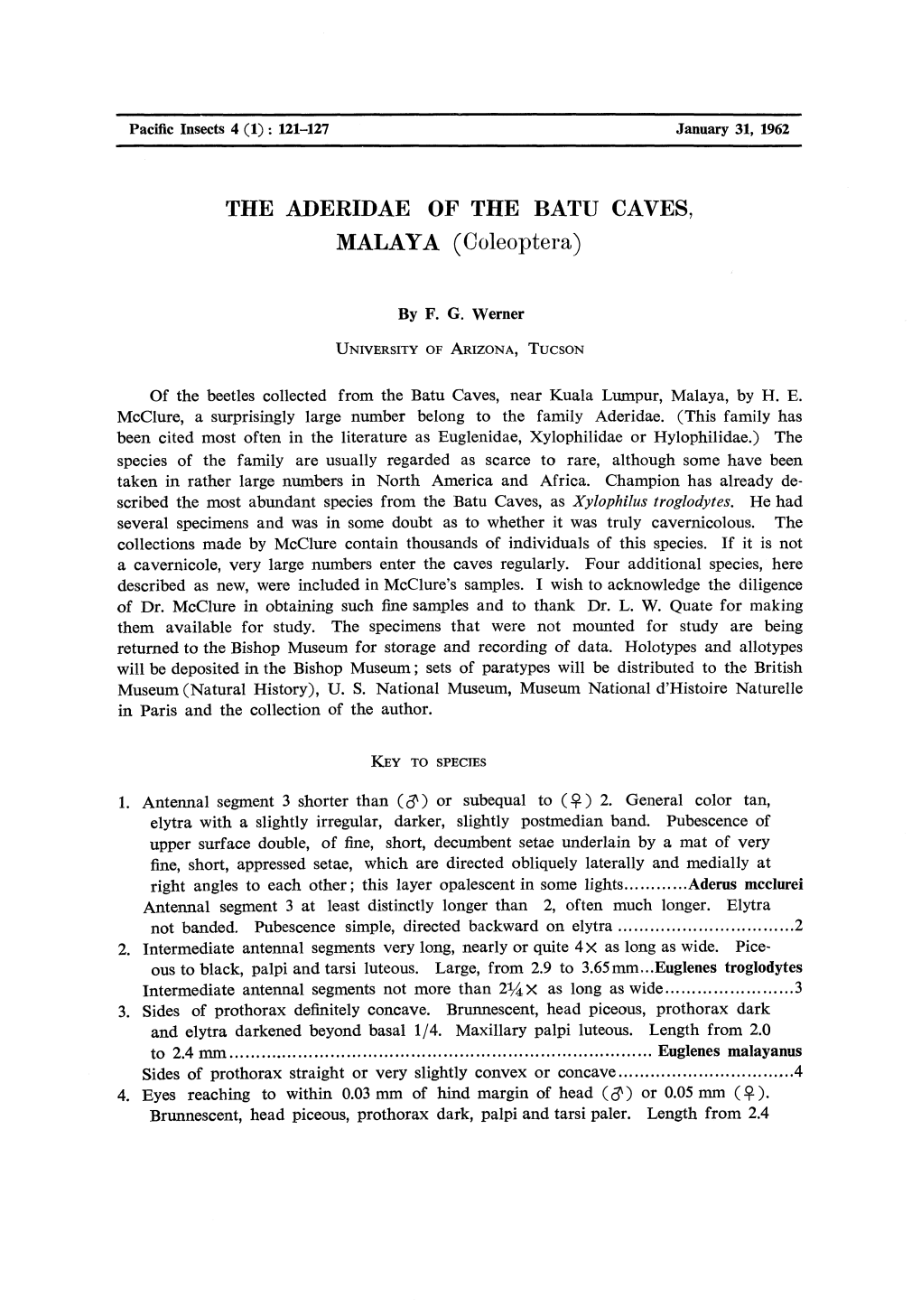THE ADERIDAE of the BATU CAVES, MALAYA (Coleoptera)