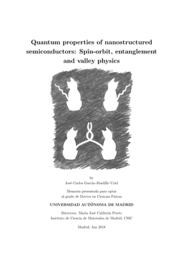 Quantum Properties of Nanostructured Semiconductors: Spin-Orbit, Entanglement and Valley Physics