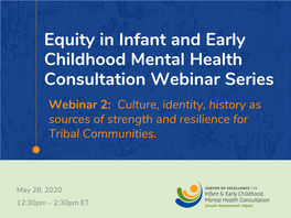 Equity in Infant and Early Childhood Mental Health