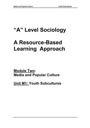 Module Two: Media and Popular Culture Unit M1: Youth Subcultures