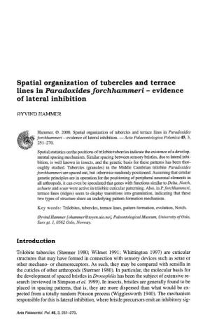 Lines in Paradoxides Forchhammeri - Evidence of Lateral Inhibition