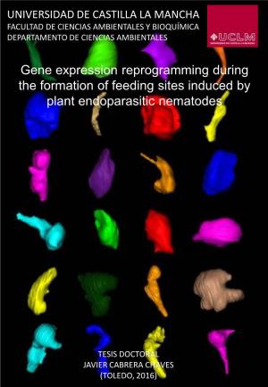 Gene Expression Reprogramming During the Formation of Feeding Sites Induced by Plant Endoparasitic Nematodes