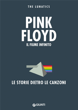 Pink Floyd. Il Fiume Infinito