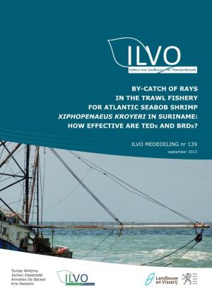 BY-CATCH of RAYS in the TRAWL FISHERY for ATLANTIC SEABOB SHRIMP XIPHOPENAEUS KROYERI in SURINAME: HOW EFFECTIVE ARE Teds and Brds?