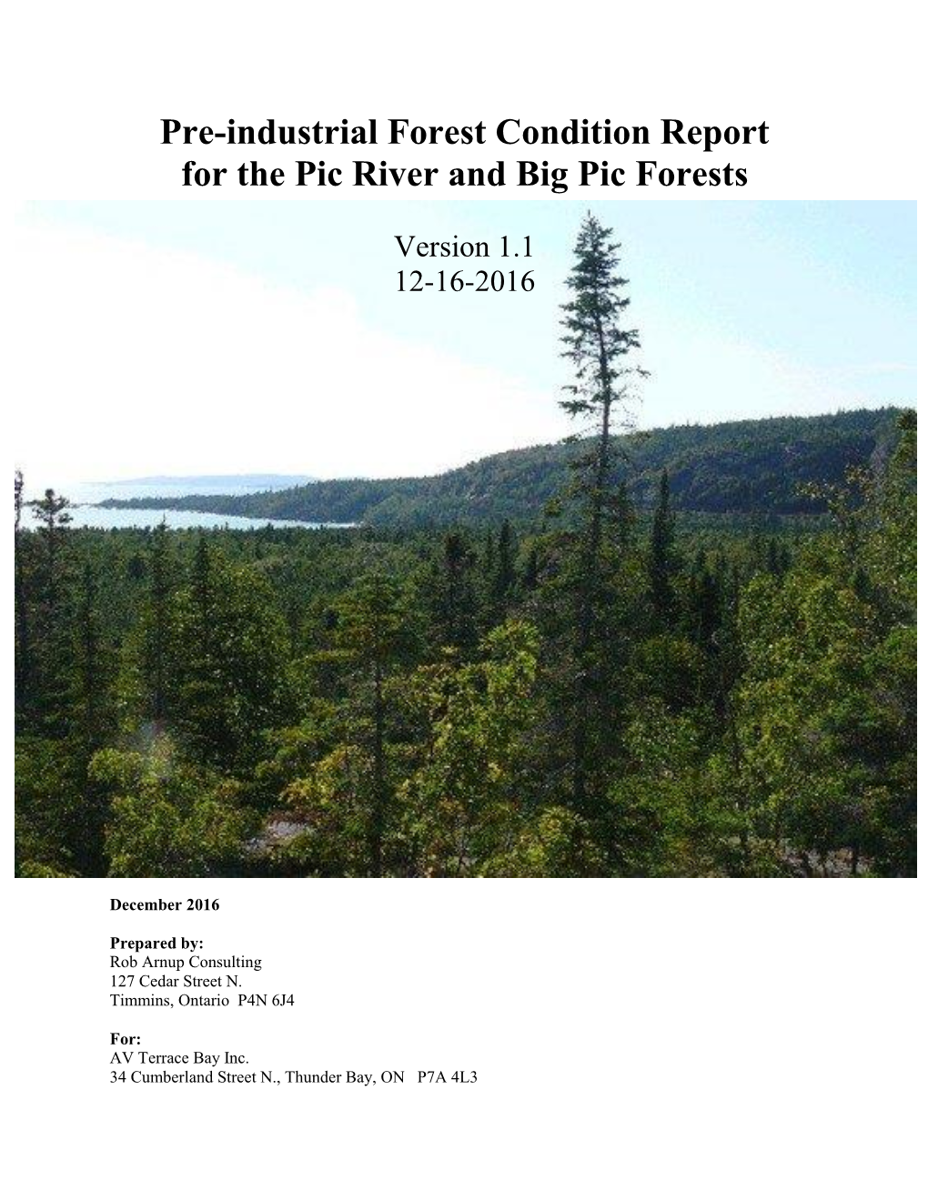 Pre-Industrial Forest Condition Report for the Pic River and Big Pic Forests