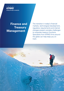 Finance and Treasury Management