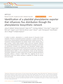 Identification of a Plastidial Phenylalanine Exporter That Influences Flux Distribution Through the Phenylalanine Biosynthetic Network
