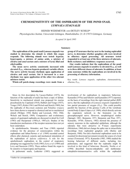 Chemosensitivity of the Osphradium of the Pond Snail Lymnaea Stagnalis