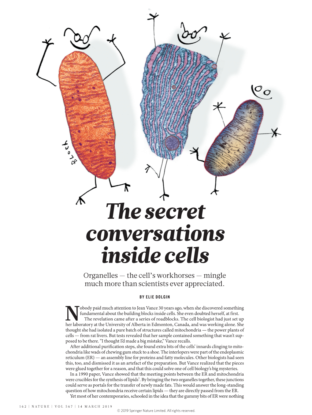 The Secret Conversations Inside Cells Organelles — the Cell’S Workhorses — Mingle Much More Than Scientists Ever Appreciated