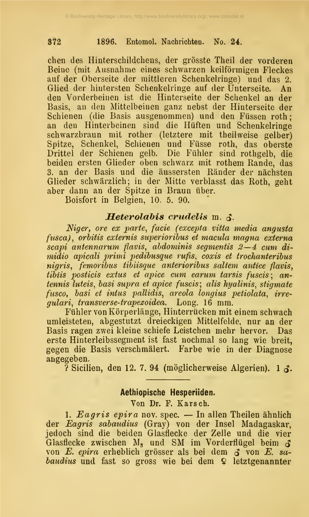 Aethiopische Hesperiiden. Ferdinand Anton Franz Karsch