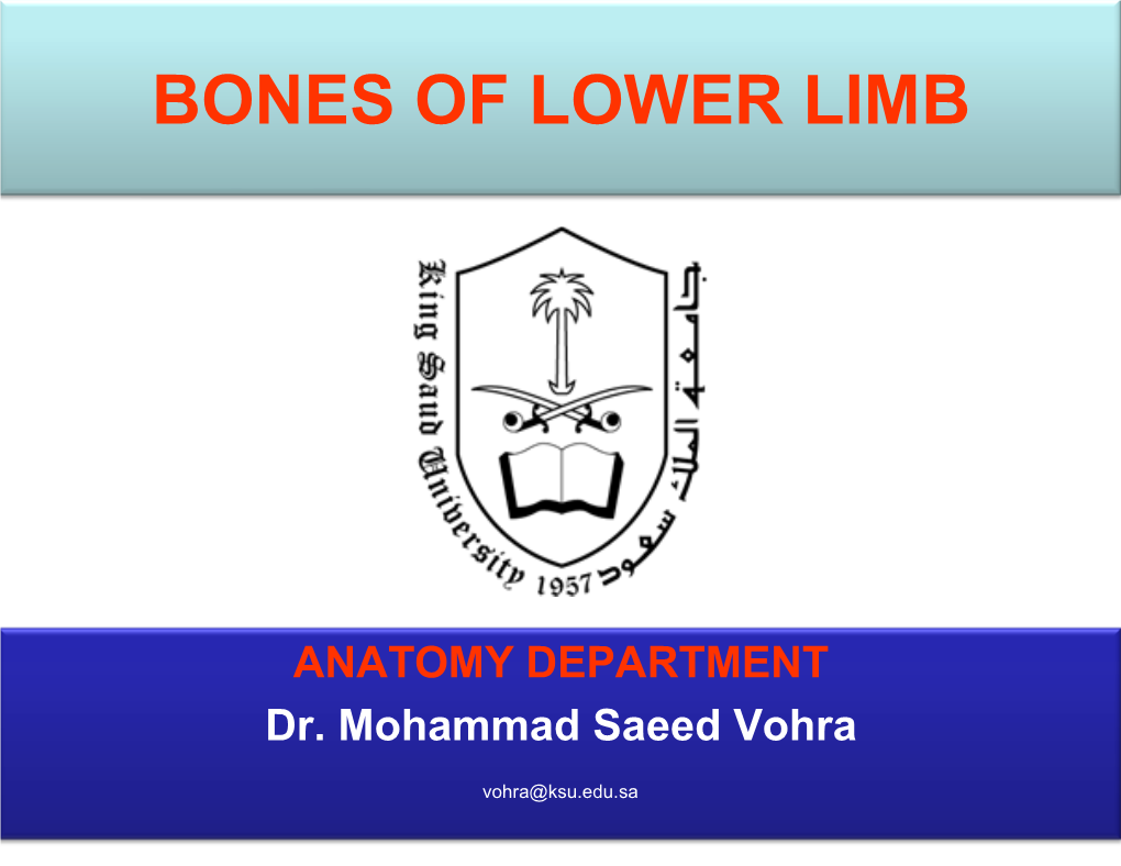 Bones of Lower Limb