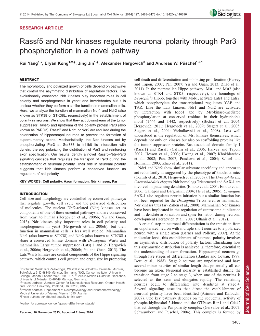 Rassf5 and Ndr Kinases Regulate Neuronal Polarity Through Par3 Phosphorylation in a Novel Pathway