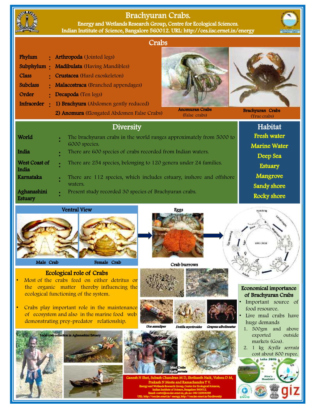 Brachyuran Crabs. Energy and Wetlands Research Group, Centre for Ecological Sciences