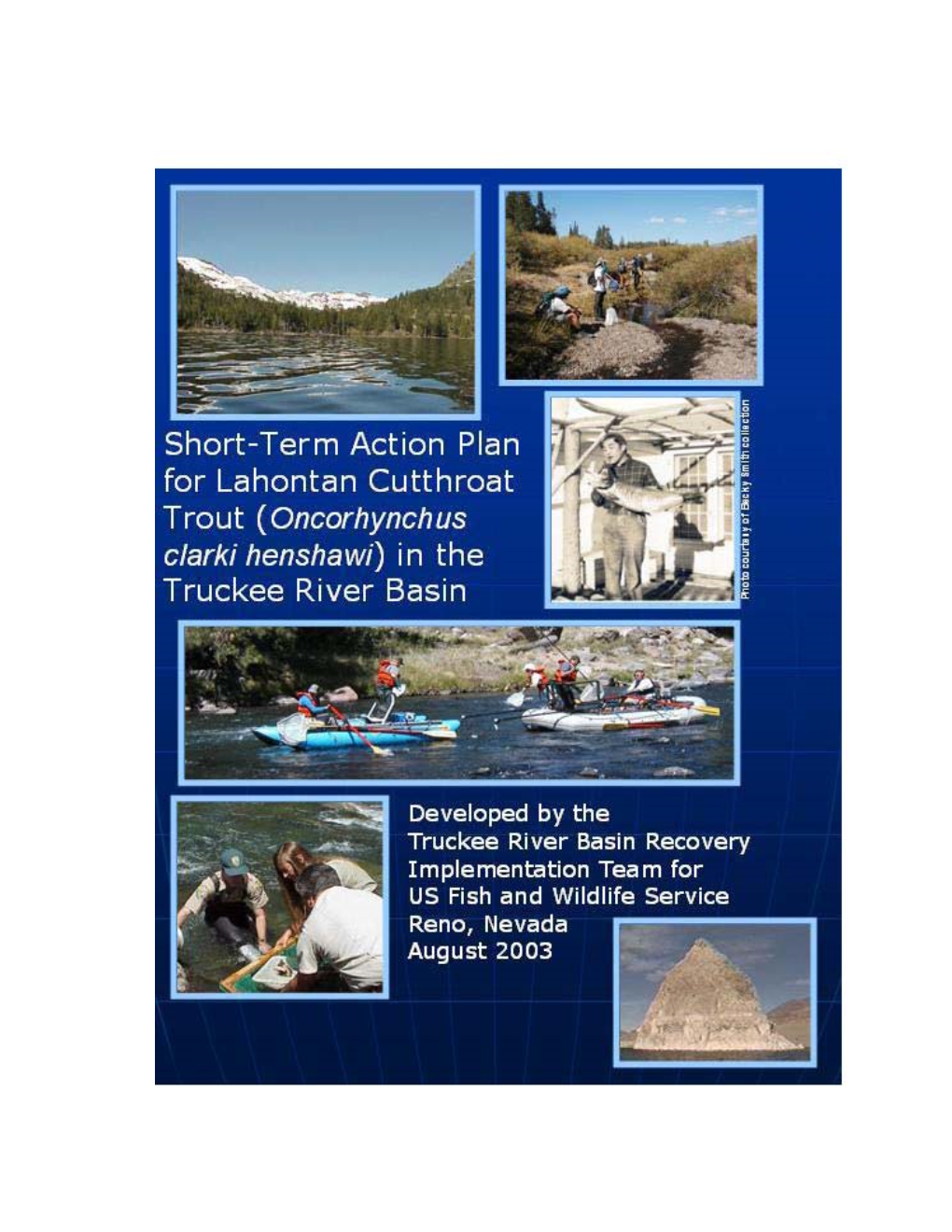 Short-Term Action Plan for Lahontan Cutthroat Trout in the Truckee River