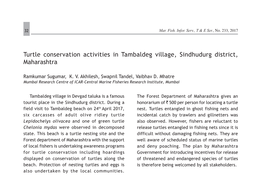 Turtle Conservation Activities in Tambaldeg Village, Sindhudurg District, Maharashtra