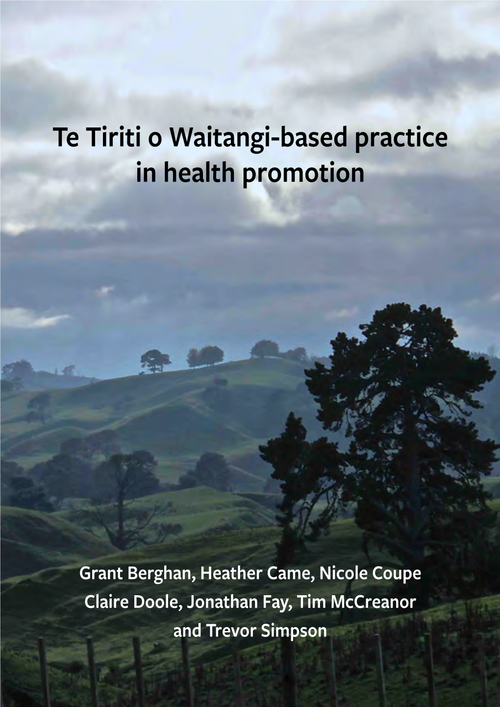 Te Tiriti O Waitangi-Based Practice in Health Promotion