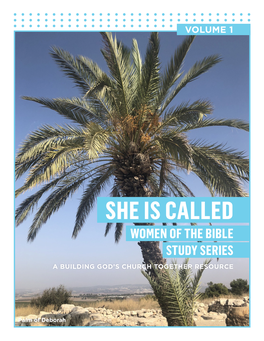 She Is Called Women of the Bible Study Series a Building God’S Church Together Resource