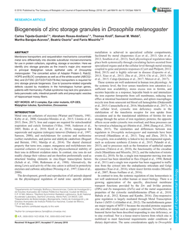 Biogenesis of Zinc Storage Granules in Drosophila Melanogaster Carlos Tejeda-Guzmán1,*, Abraham Rosas-Arellano1,*, Thomas Kroll2, Samuel M