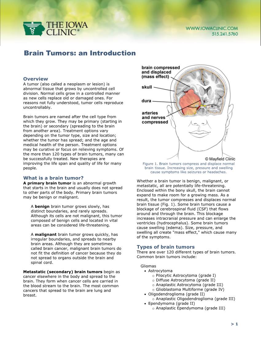 Brain Tumors: an Introduction