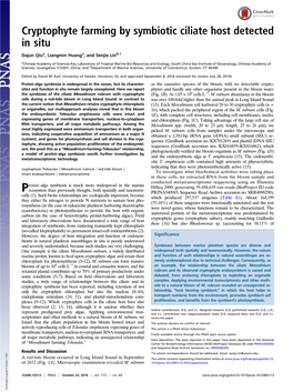 Cryptophyte Farming by Symbiotic Ciliate Host Detected in Situ